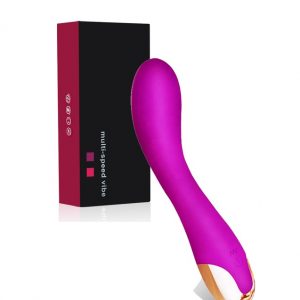 Luxury Vibrator 10 Function