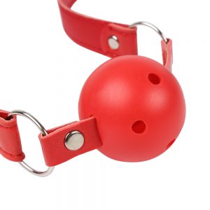 Ball Gag Ball