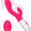 Dual Motor 30Function Vibrator