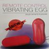 remote control egg vibrator